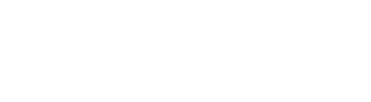 NTT DATA Logo